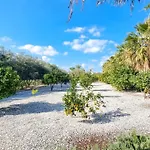 Villa Leto 13 Paphos