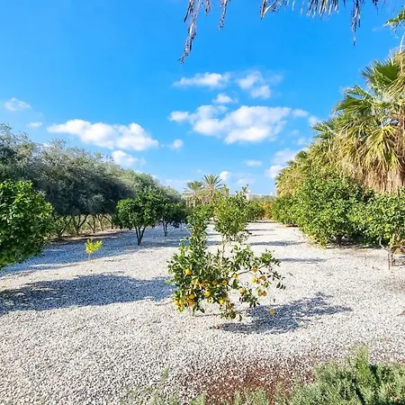 Villa Leto 13 Paphos